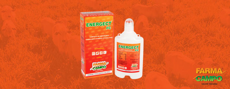 Energect FC