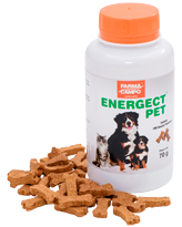 Energect PET
