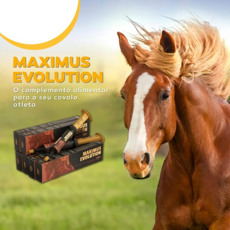 Maximus Evolution